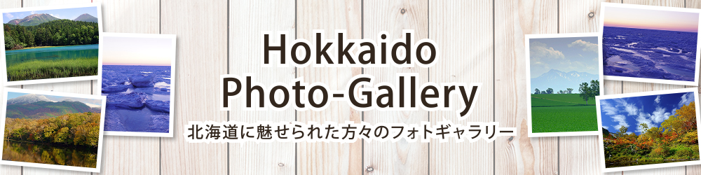 Hokkaido｜Photo-Gallery