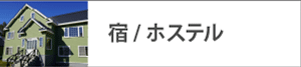 宿 ホステル